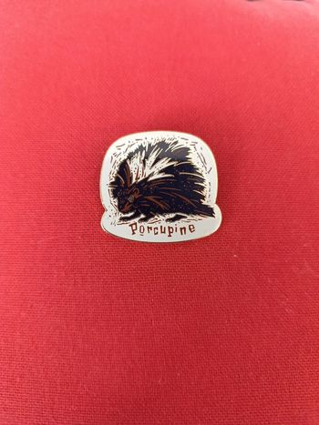 Pin's California adventure exclusive Disney