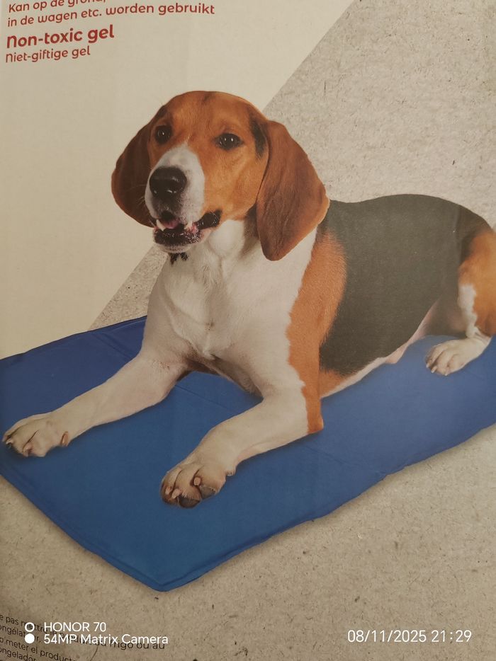 Tapis rafraîchissant pour chien - photo numéro 2