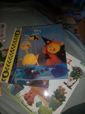 Livre sur les pompons