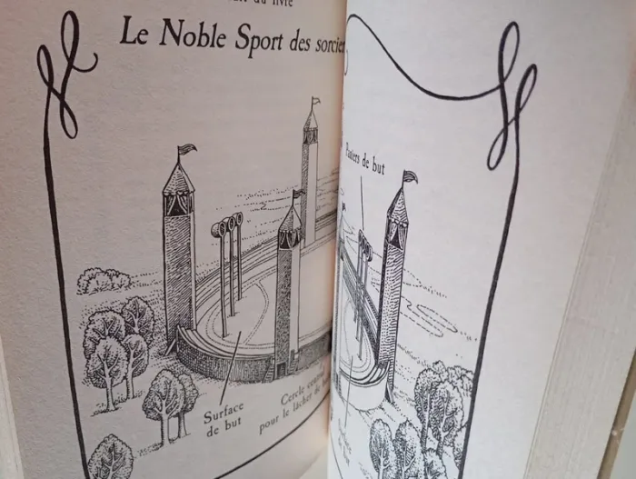 Le Quidditch à travers les âges - photo numéro 4