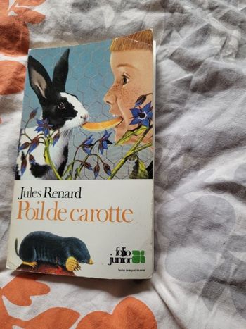 Poil de carotte Jules Renard