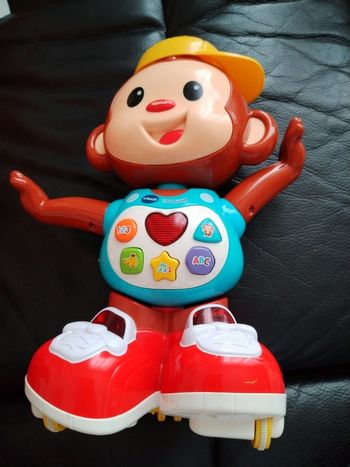 Singe interactif titi ouistiti