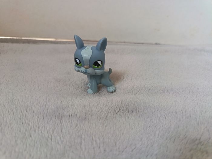 LPS #857 Bouledogue Français Gris (Authentique Hasbro) - photo numéro 2