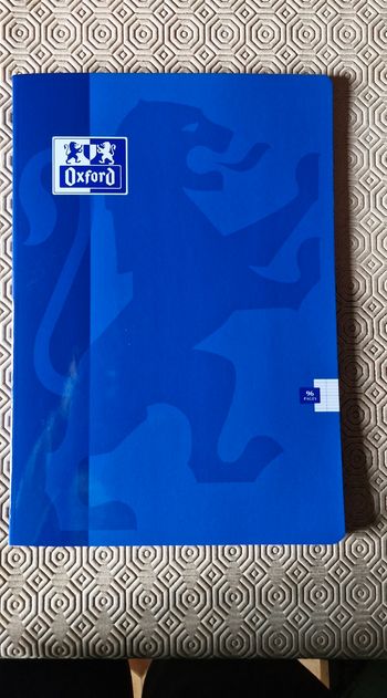 Cahier 21x29,7 cm