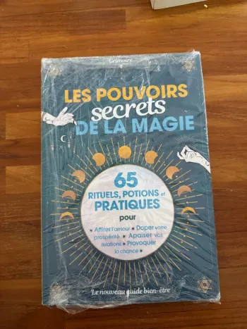 Livre les pouvoirs secrets de la magie