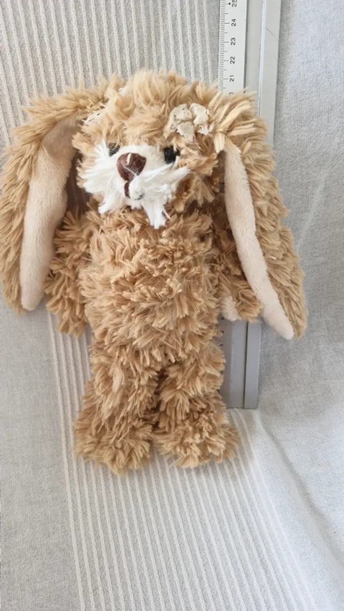 Lapin bukowski - photo numéro 2