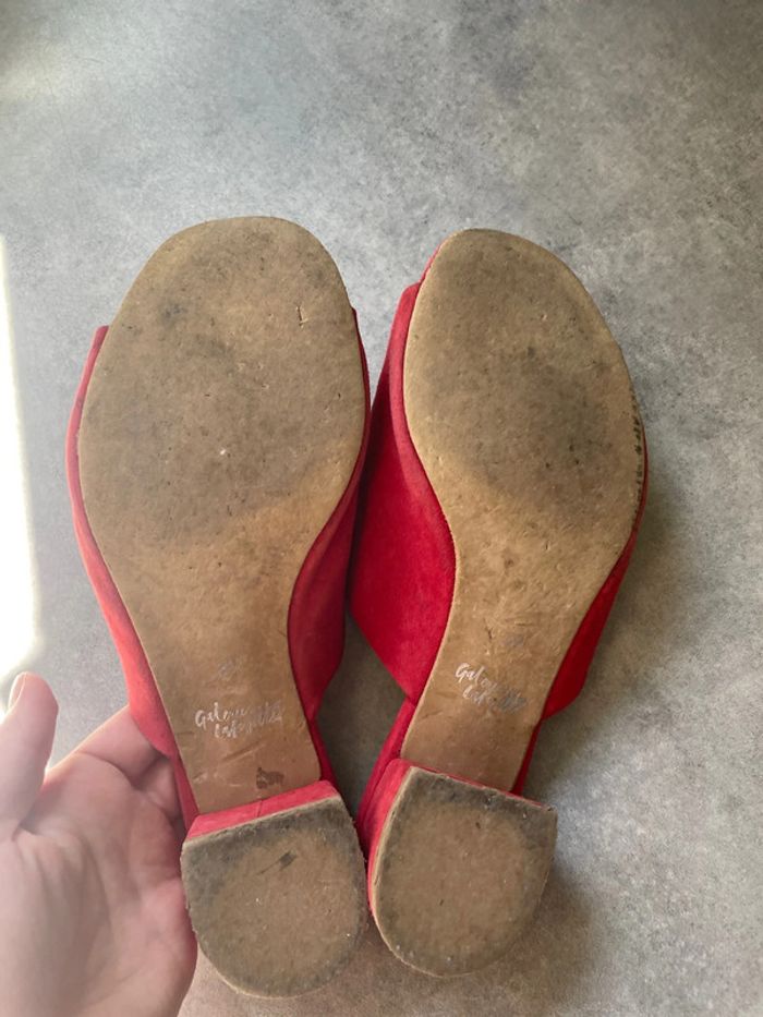 Mules - photo numéro 7