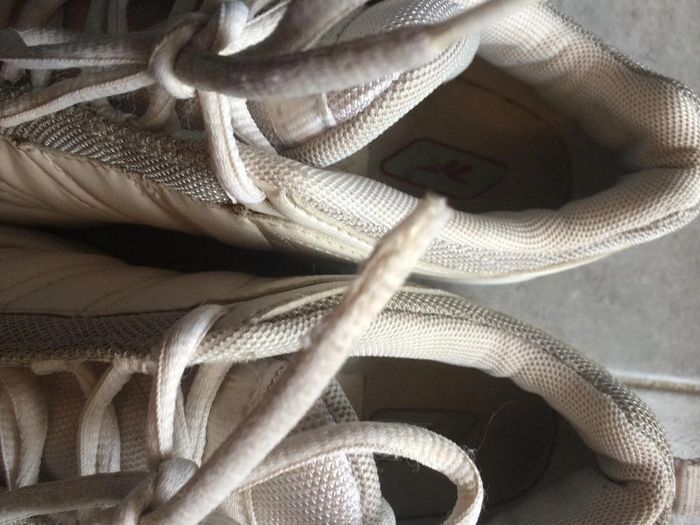 Basket Reebok P.37 - photo numéro 5
