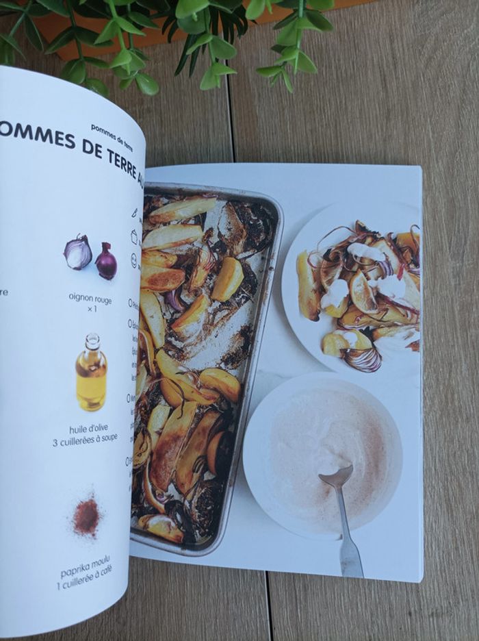 Livre cuisine 100 recettes Petit Budjet - photo numéro 2
