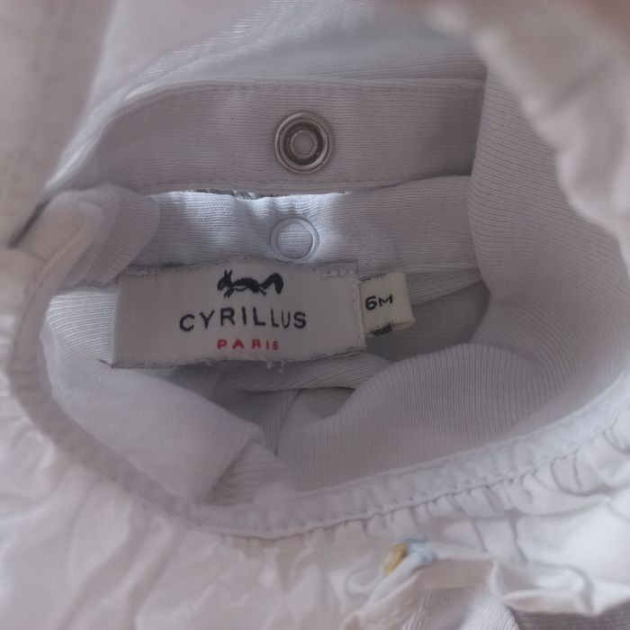 Body colcyrillus - photo numéro 2