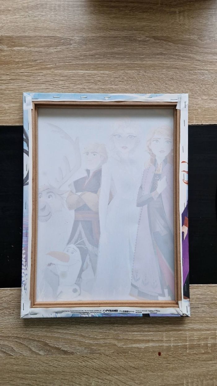 Toile reine des neiges 2 - photo numéro 2