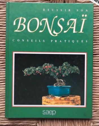 Réussir son Bonsaï conseils pratiques