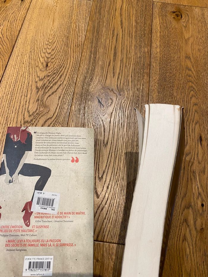 Lot de 2 livres Lévy/ Husson grands formats - photo numéro 4