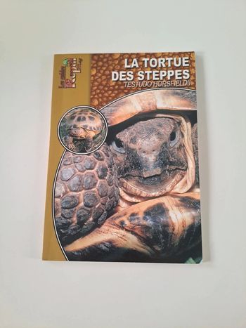 La tortue des steppes