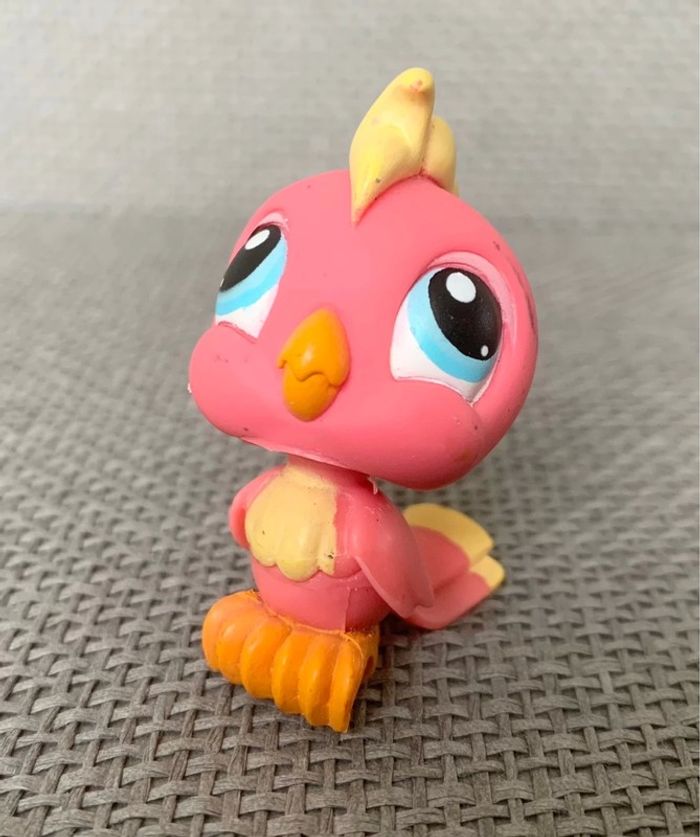 Petshop Pérroquet - 2€ l’unité - photo numéro 4