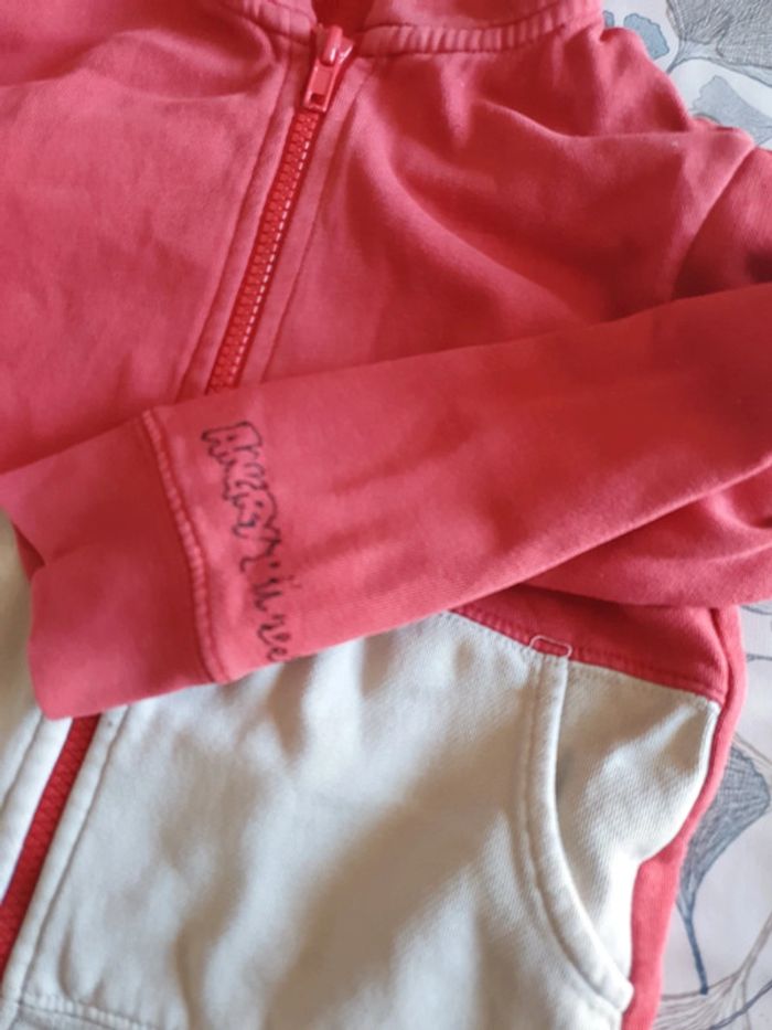 Gilets - photo numéro 2