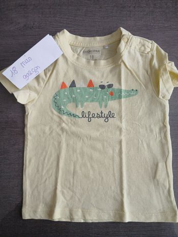 Tee shirt manches courtes tres bon état taille 18 mpis 