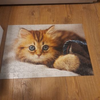 Puzzle chat 200 pièces 