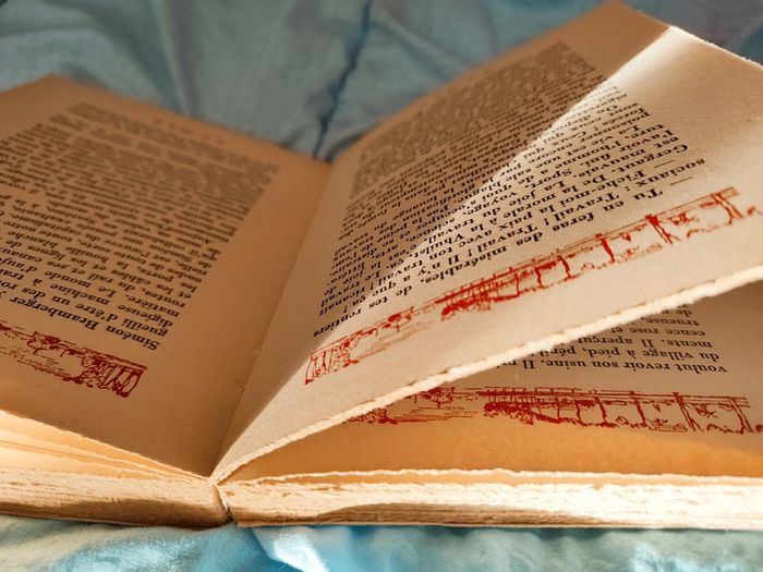 Livre ancien "L'élu - Van der Meersch - photo numéro 5