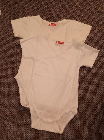 Lot 2 bodies DPAM 12 mois