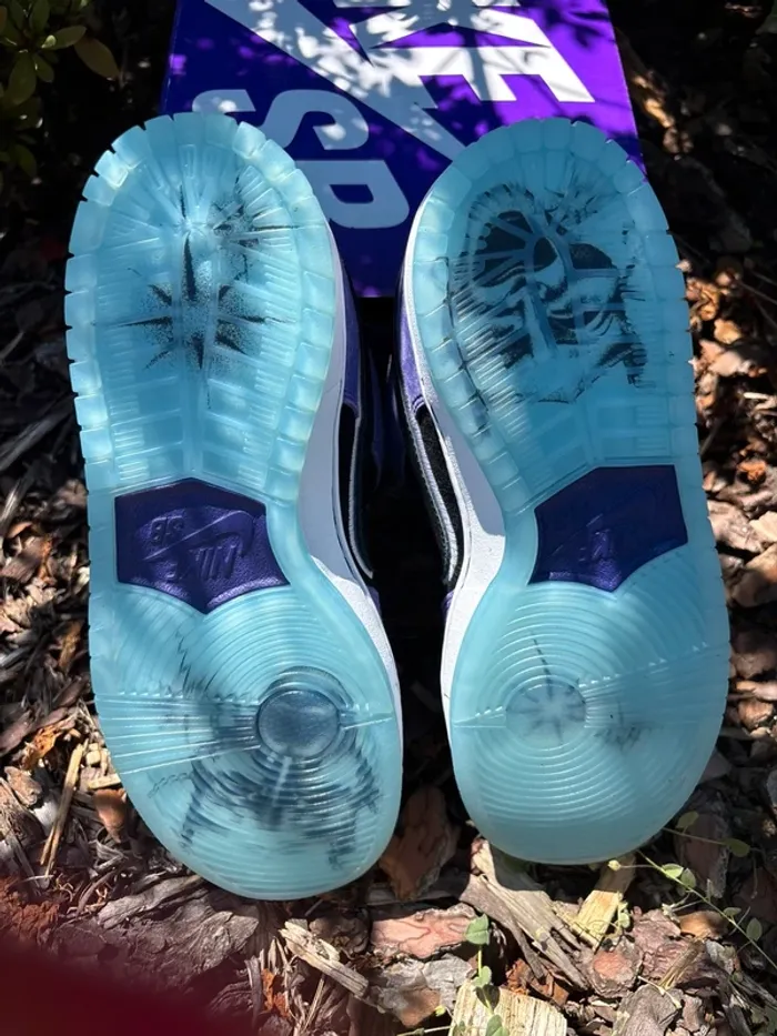 Nike Dunk SB Hayley Wilson 39 - photo numéro 4