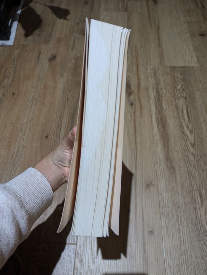 Livre Ta Promesse Camille Laurens - photo numéro 4