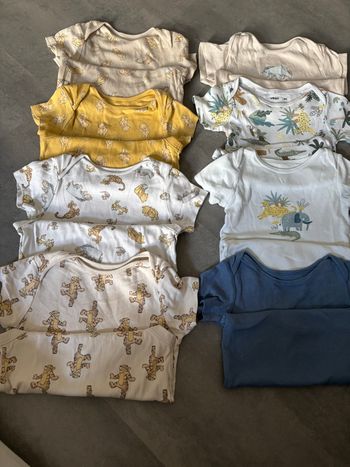 Super lots de 8 bodies manches courtes
