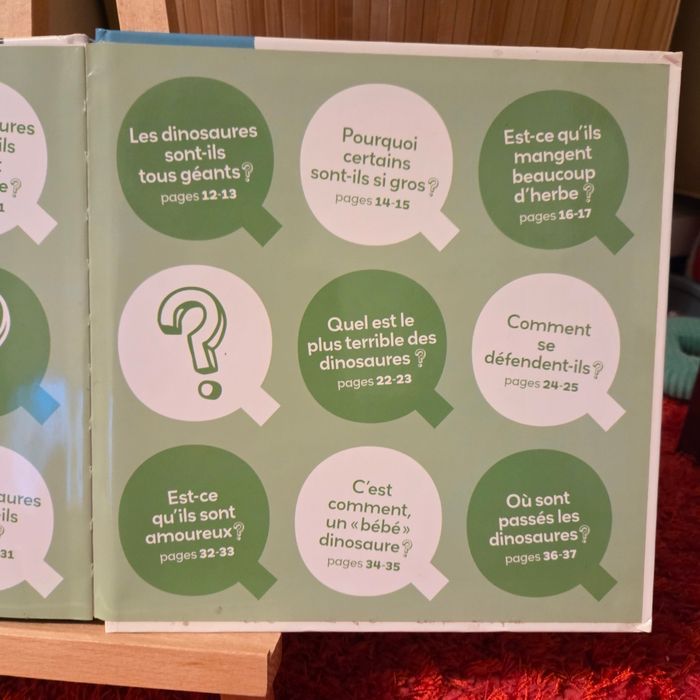 Livre enfant Milan mes P’tites Questions 6+ P’tits docs - photo numéro 4