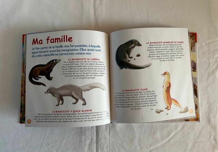 Livre le suricate + 2 figurines - photo numéro 6