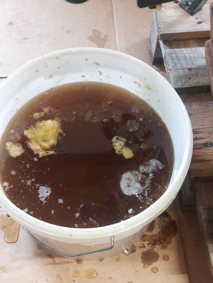 Miel de fleur  et sapin - photo numéro 6