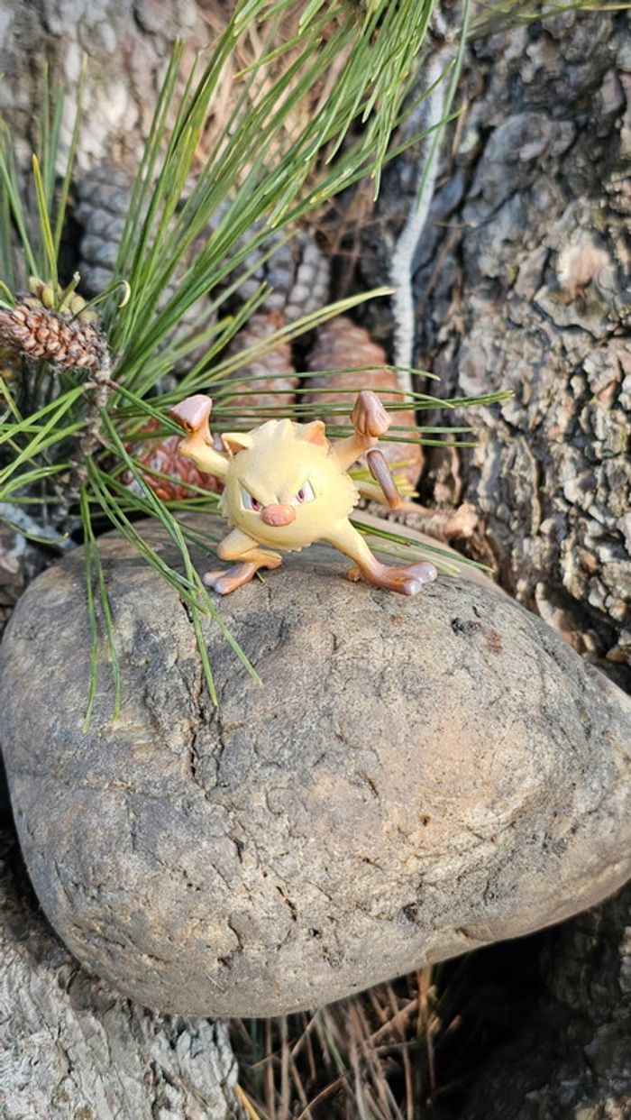Super figurine Pokemon Nintendo auldey tomy ferosinge