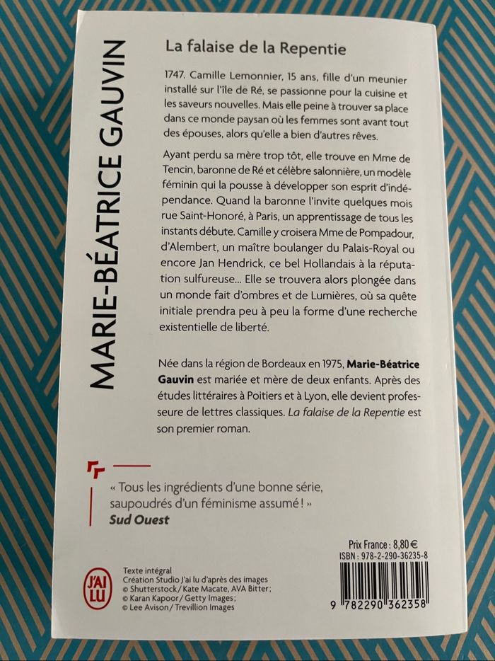 La falaise de la repentie de Marie Béatrice Gauvin - photo numéro 3
