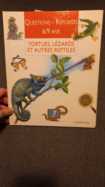 Documentaire questions réponses tortues lézards et autres reptiles