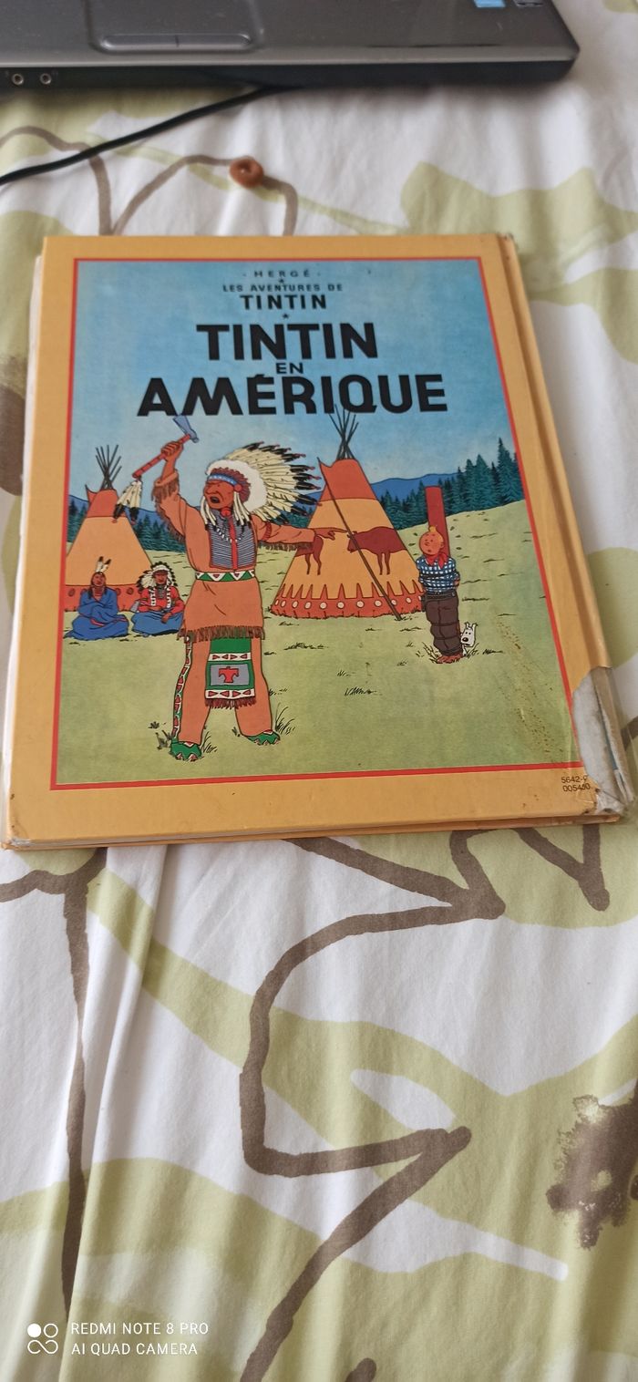 Bd double tintin - photo numéro 2