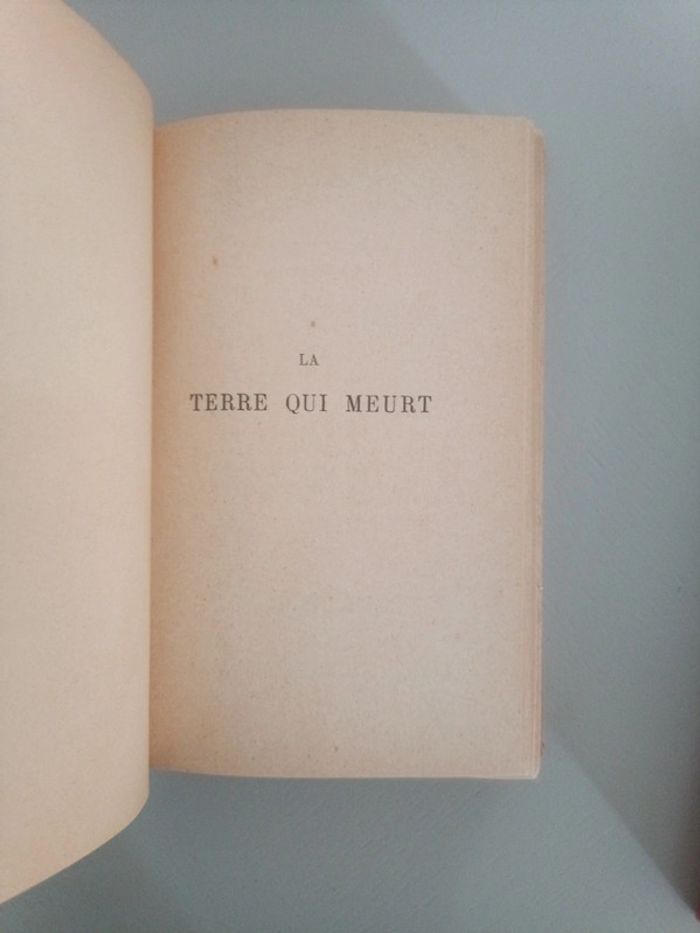 La terre qui meurt René Bazin - photo numéro 7
