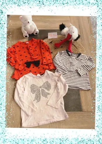 Lot t-shirts 12 mois