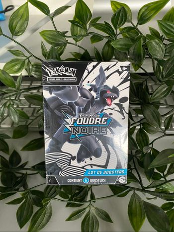 Bundle ev10.5