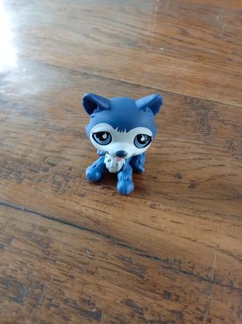 Petshop husky