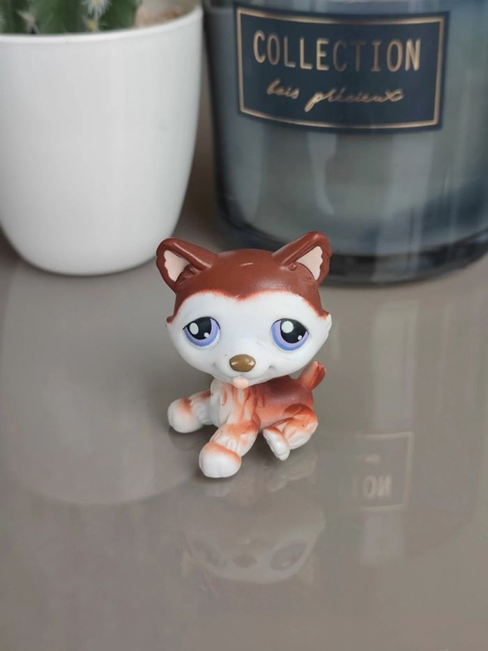 Littlest Pet Shop #427 brown and white husky dog
