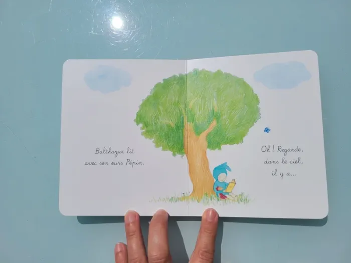 Coffret 3 livres tout carton Montessori 🐈 Bébé Balthazar, Ma première bibliothèque Montessori - photo numéro 12