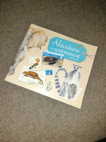 Livre abécédaire des animaux