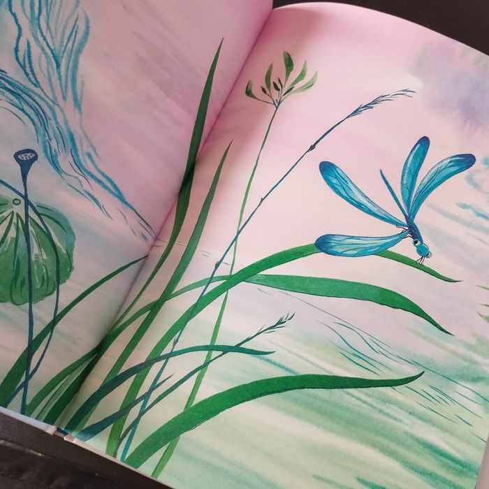 Livre édition saltimbanques la libellule qui pète et la mouche qui pue - photo numéro 5