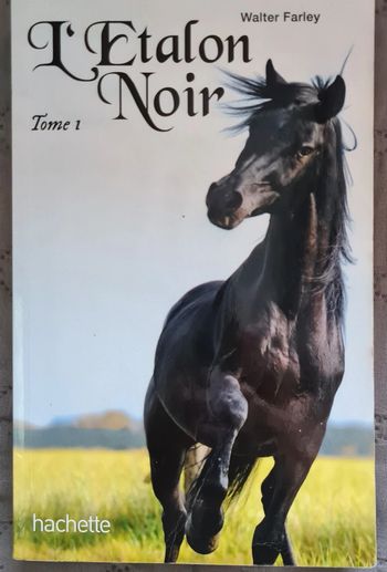 Roman L'étalon noir