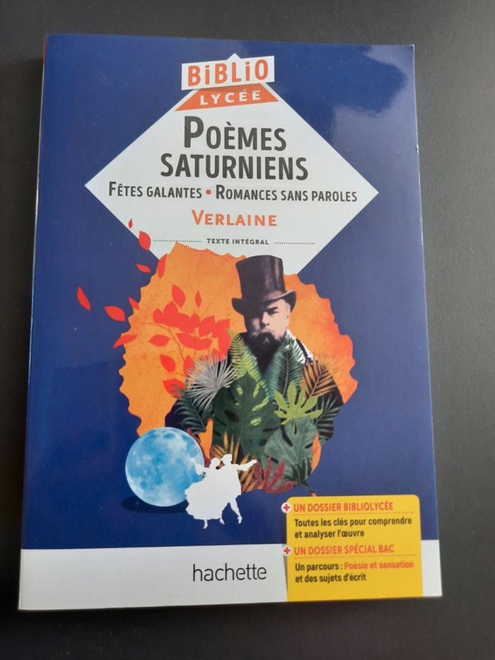 Poèmes saturniens