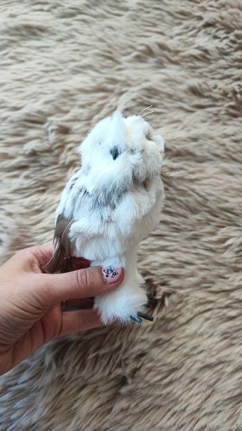 Décoration chouette