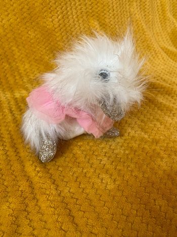 Peluche Coin Coin Paris