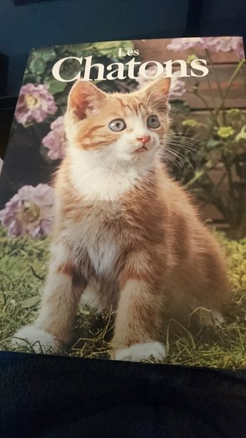 Livre 📖 les chatons