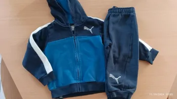 Ensemble puma