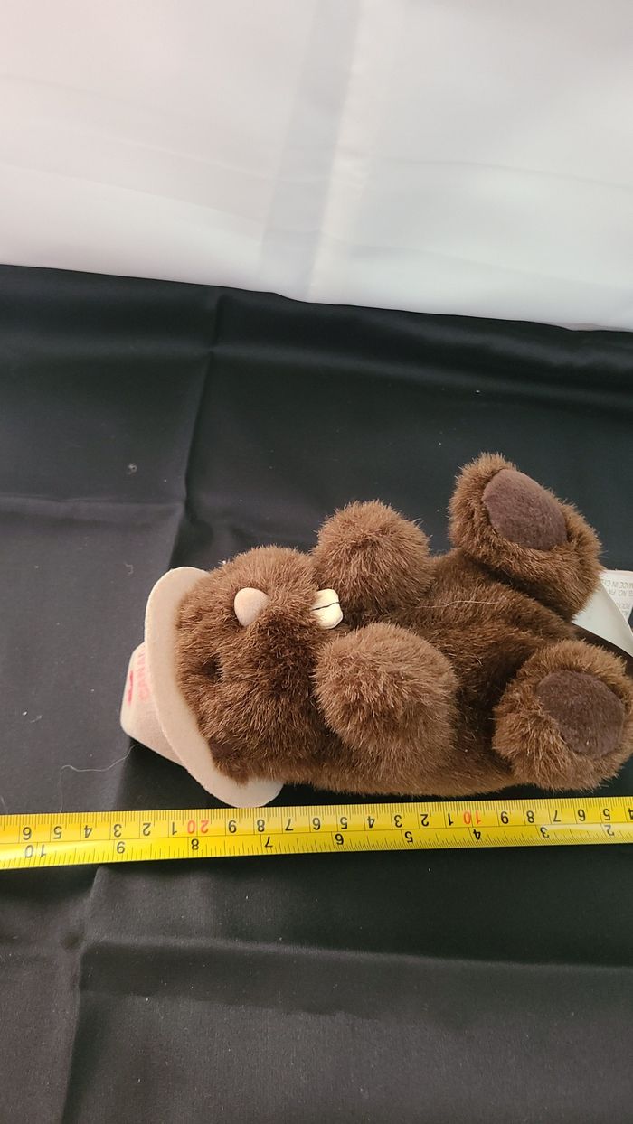 peluche castor canada bearthonstock - photo numéro 2