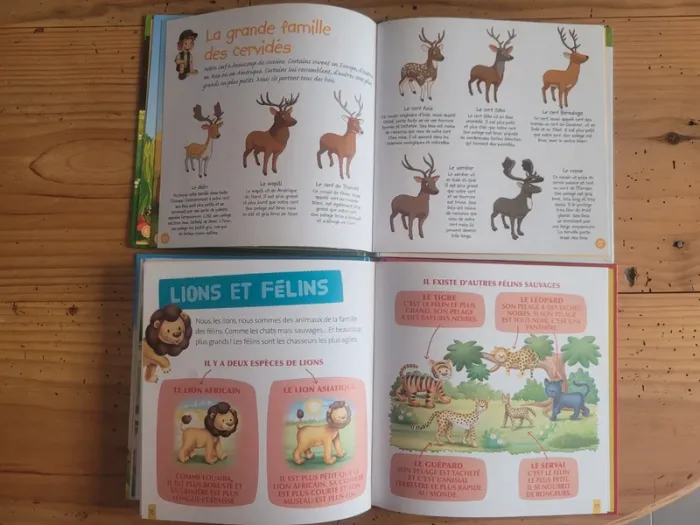Lot livres animaux Cerf et Lion - photo numéro 7